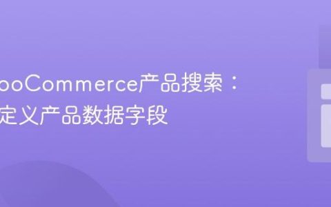扩展WooCommerce产品搜索：集成自定义产品数据字段