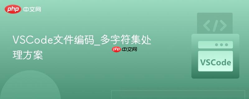 vscode文件编码_多字符集处理方案