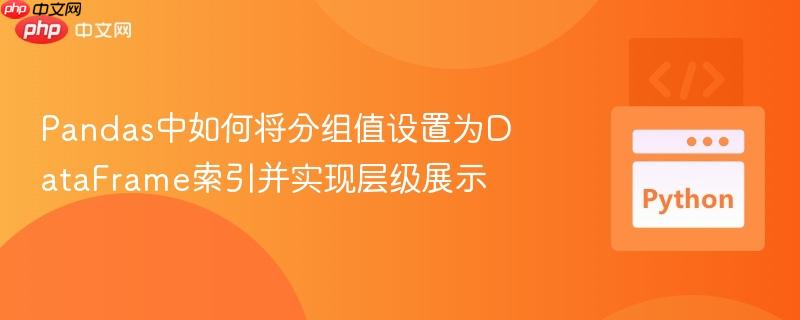 pandas中如何将分组值设置为dataframe索引并实现层级展示