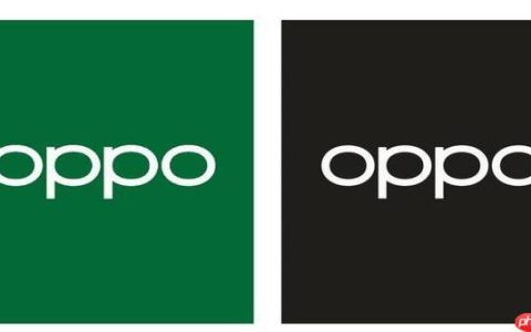 OPPO手机指纹解锁不灵敏怎么回事 OPPO指纹识别失败的原因与校准技巧【设置攻略】