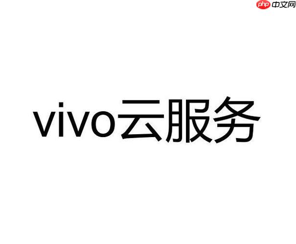 vivo云服务一直提示空间不足怎么办 怎么办vivo云服务老是提示空间不足