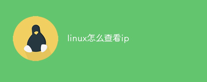 linux怎么查看ip