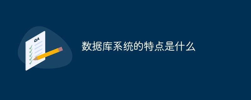 数据库系统的特点是什么