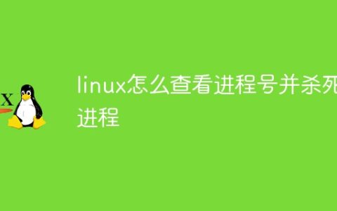 linux怎么查看进程号并杀死进程