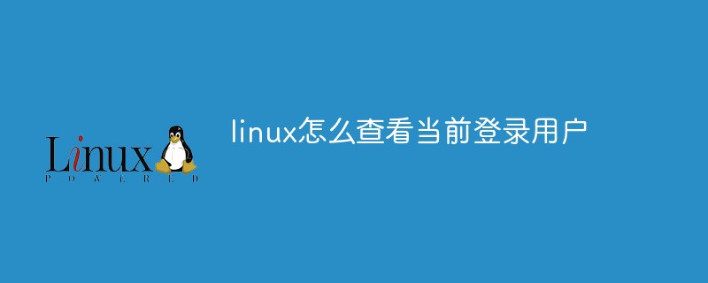 linux怎么查看当前登录用户