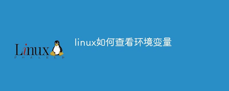 linux如何查看环境变量