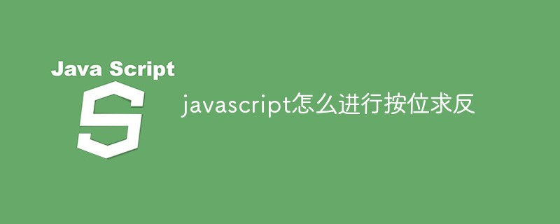 javascript怎么进行按位求反