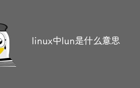 linux中lun是什么意思