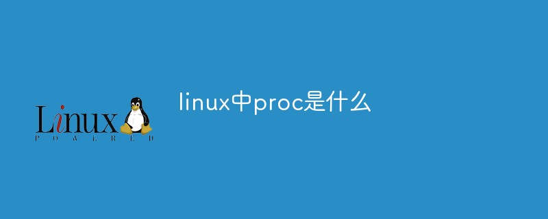 linux中proc是什么