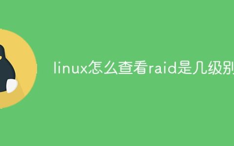 linux怎么查看raid是几级别