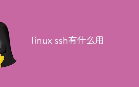 linux ssh有什么用