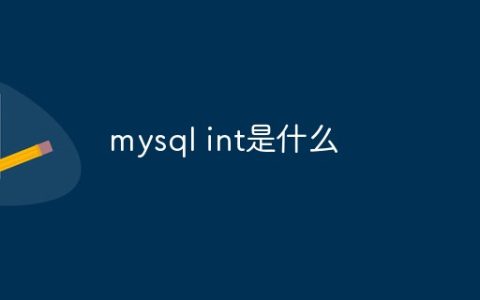 mysql int是什么