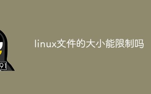 linux文件的大小能限制吗