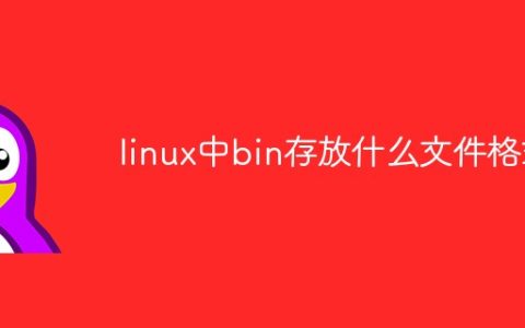 linux中bin存放什么文件格式