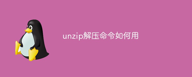 unzip解压命令如何用