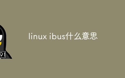 linux ibus什么意思