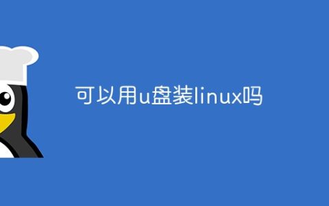 可以用u盘装linux吗