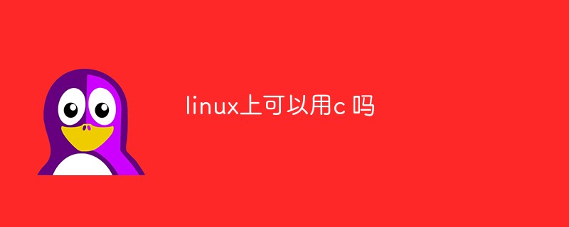 linux上可以用c 吗