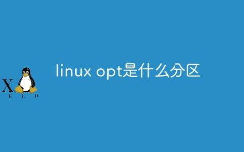 linux opt是什么分区