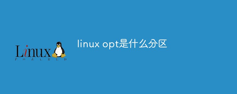 linux opt是什么分区