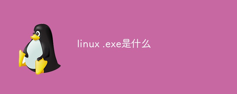linux .exe是什么
