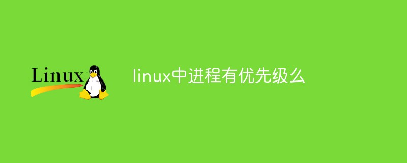 linux中进程有优先级么