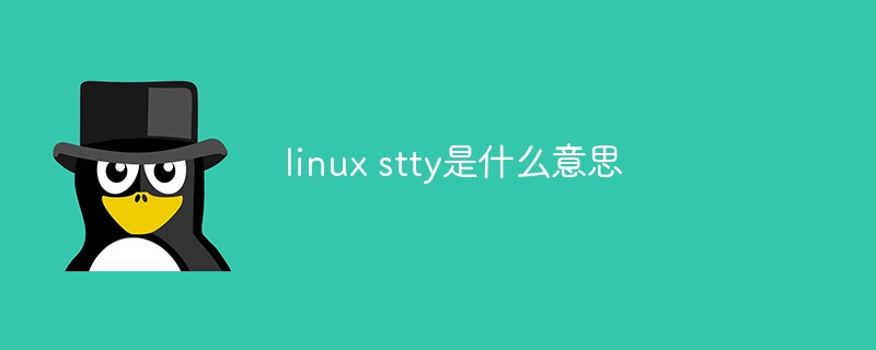 linux stty是什么意思