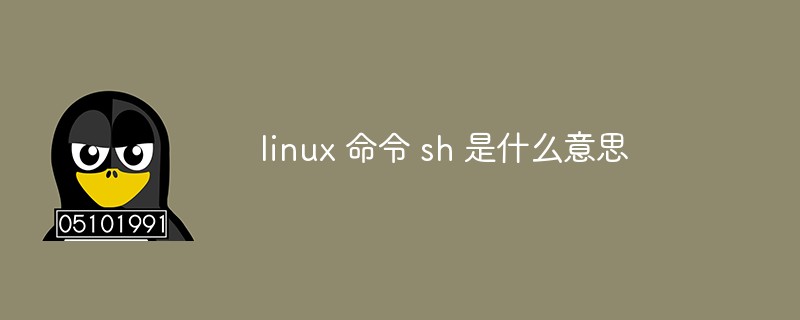 linux 命令 sh 是什么意思