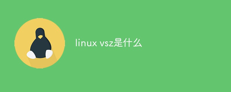 linux vsz是什么