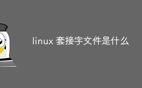 linux 套接字文件是什么