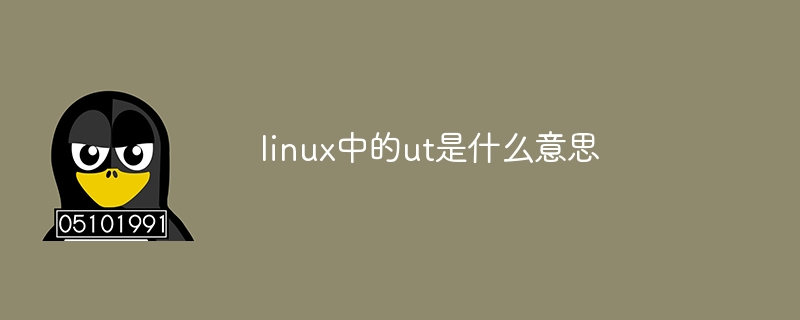linux中的ut是什么意思
