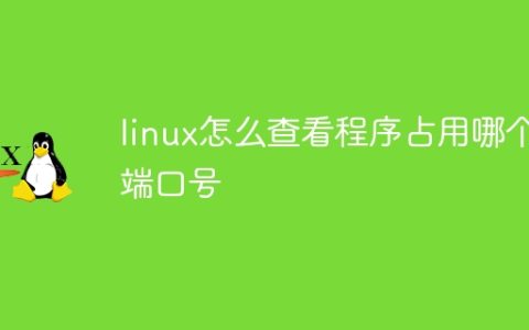 linux怎么查看程序占用哪个端口号