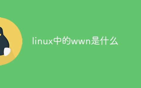 linux中的wwn是什么