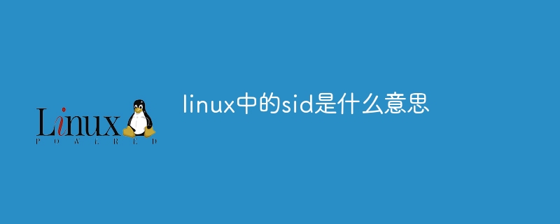 linux中的sid是什么意思