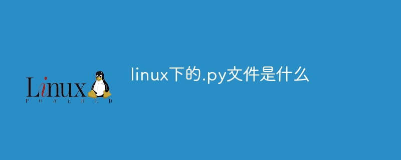 linux下的.py文件是什么