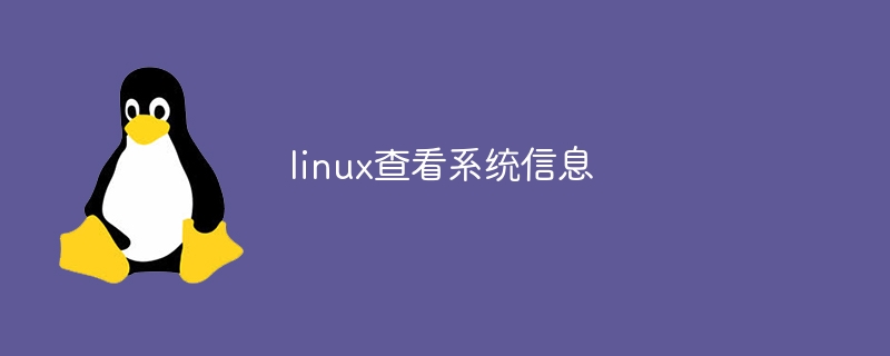 linux查看系统信息