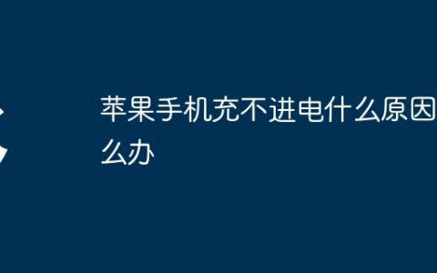 苹果手机充不进电什么原因怎么办