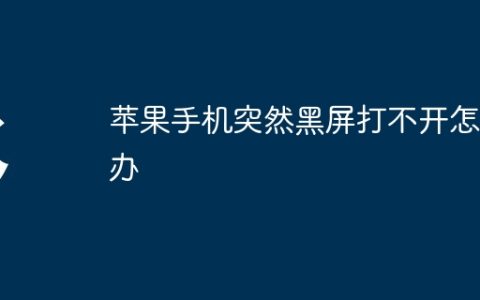 苹果手机突然黑屏打不开怎么办