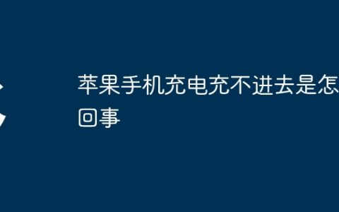 苹果手机充电充不进去是怎么回事