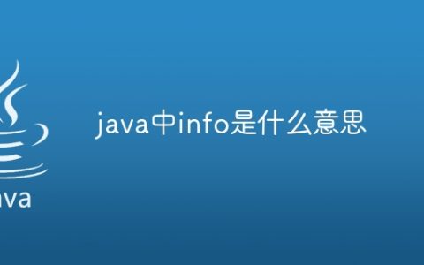 java中info是什么意思