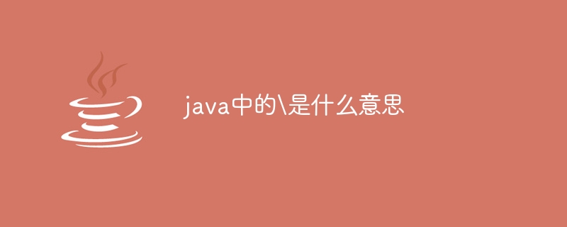 java中的是什么意思