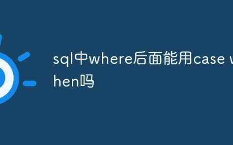 sql中where后面能用case when吗