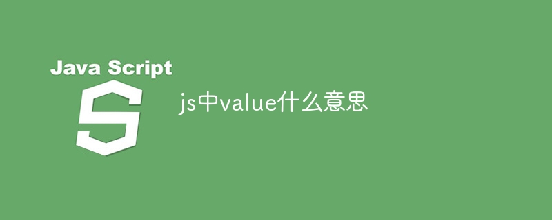 js中value什么意思