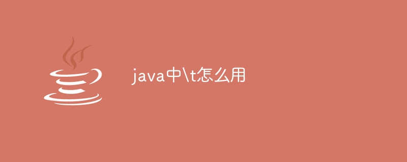 java中t怎么用