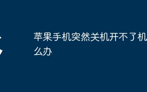 苹果手机突然关机开不了机怎么办