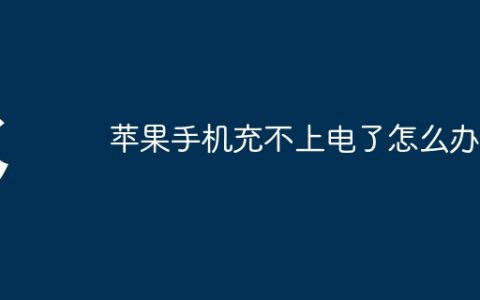 苹果手机充不上电了怎么办