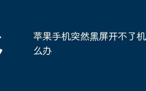 苹果手机突然黑屏开不了机怎么办