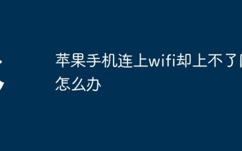 苹果手机连上wifi却上不了网怎么办