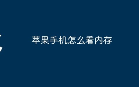 苹果手机怎么看内存