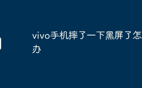 vivo手机摔了一下黑屏了怎么办